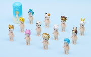 Animal 4 Series Y5