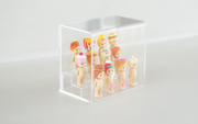 Acrylic Display Case Q4