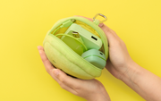 SMISKI Cushion Pouch F2