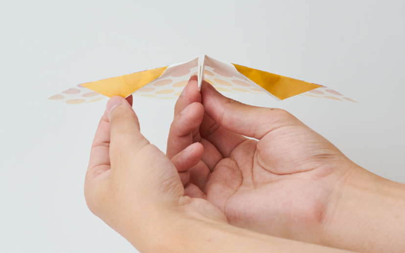 Papillon Origami Airplanes N3