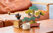 Play Plants Bonsai Puzzles J5