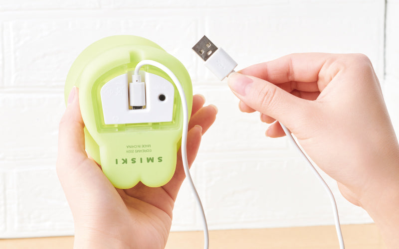 SMISKI Touch Light Q2
