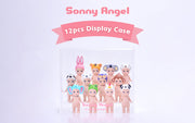 Acrylic Display Case Q4