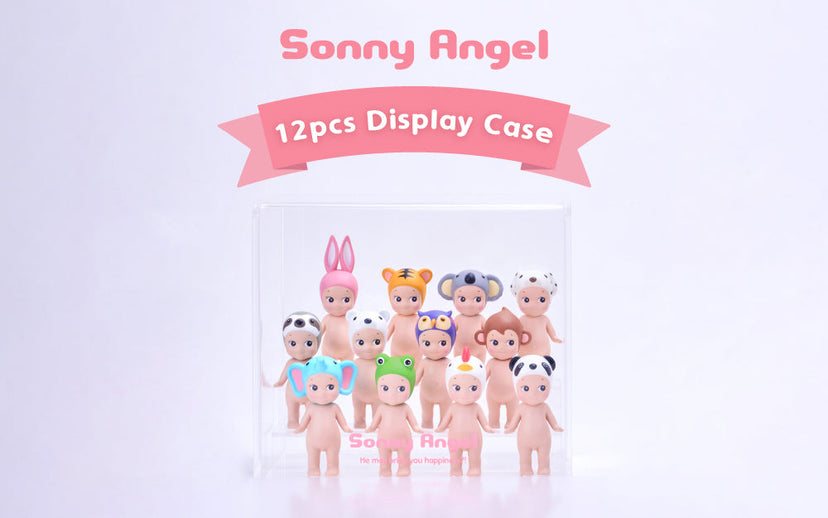 Acrylic Display Case Q4