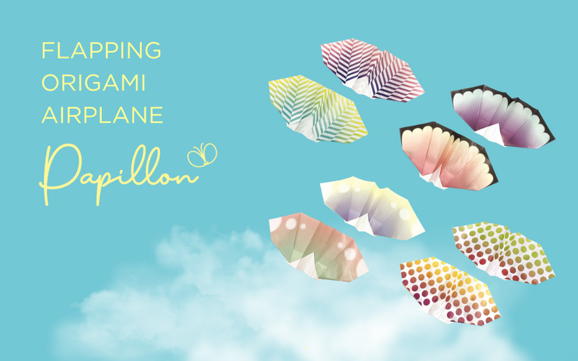 Papillon Origami Airplanes N3