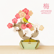 Play Plants Bonsai Puzzles J5