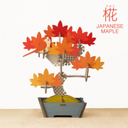 Play Plants Bonsai Puzzles J5